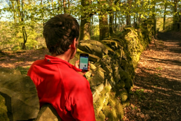 Emily Article 4-9-19.png