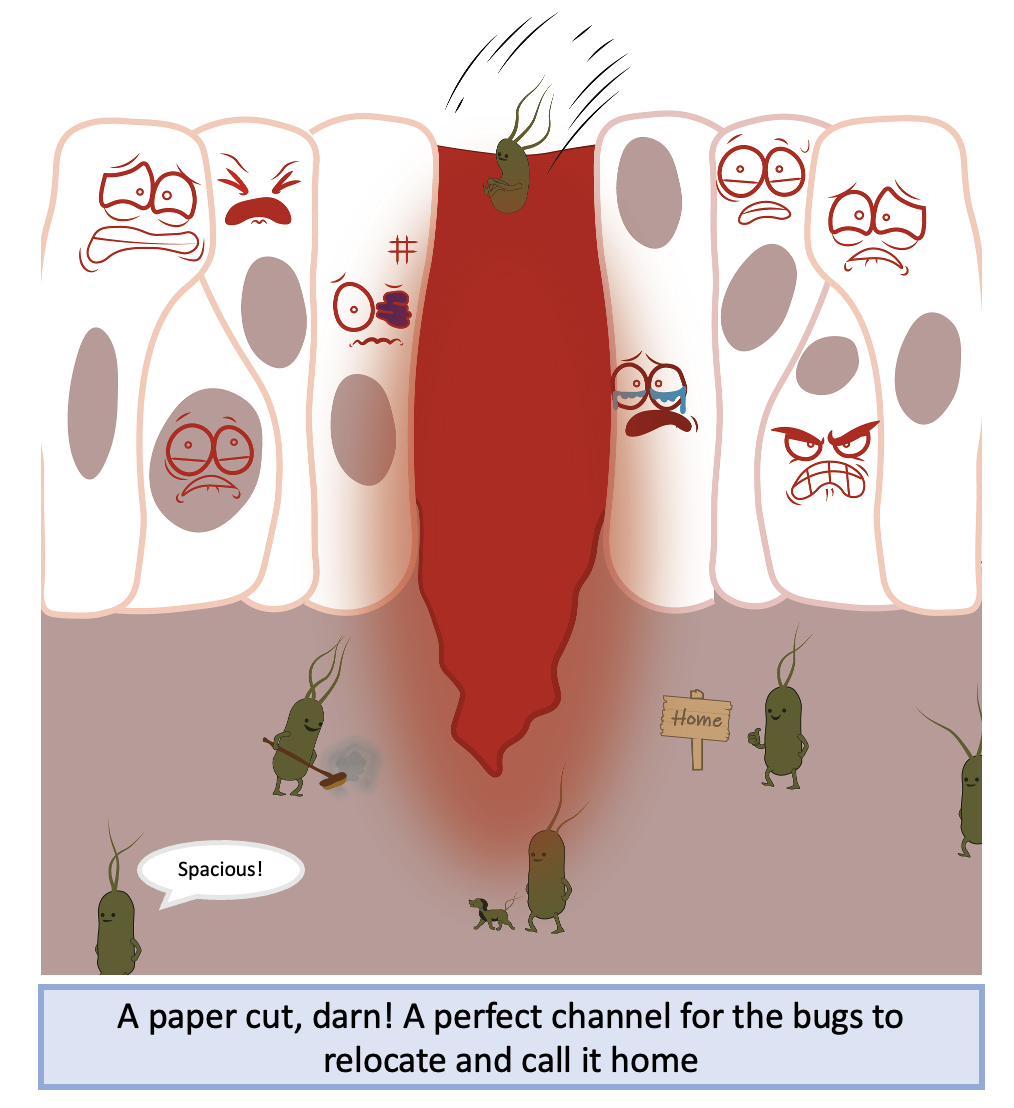 Screenshot 2023-09-27 at 15.59.11