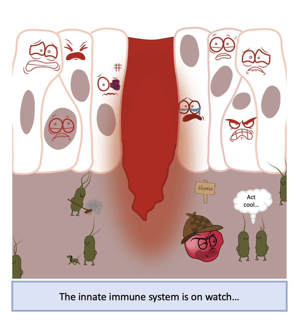 Screenshot 2023-09-27 at 15.59.54