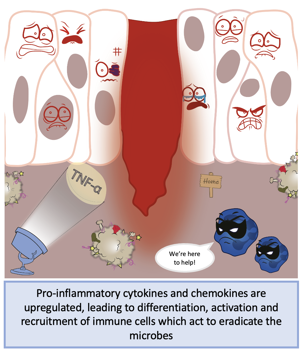 Screenshot 2023-09-27 at 16.02.10