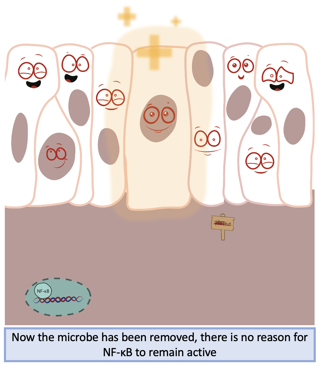 Screenshot 2023-09-27 at 16.02.42