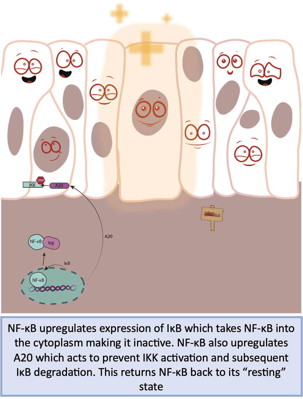 Screenshot 2023-09-27 at 16.04.24